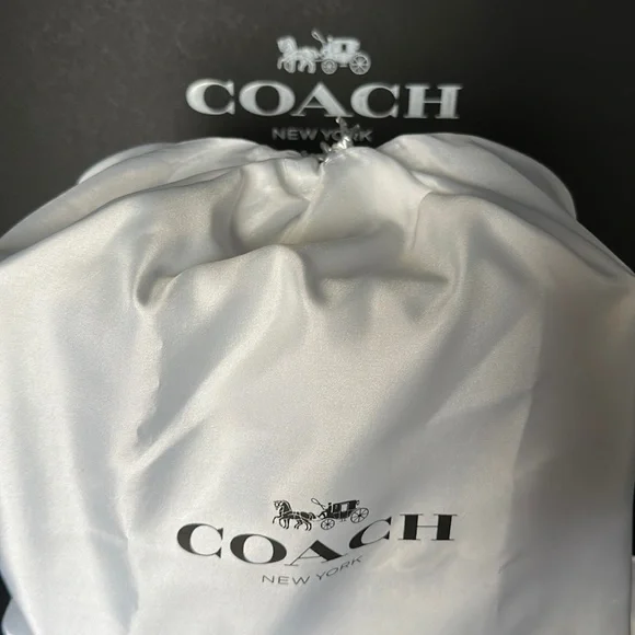 NWT Coach Belvedere Cashin Carry 22 Fire Island Graphic Leather Purse Handbag - Picture 8 of 15